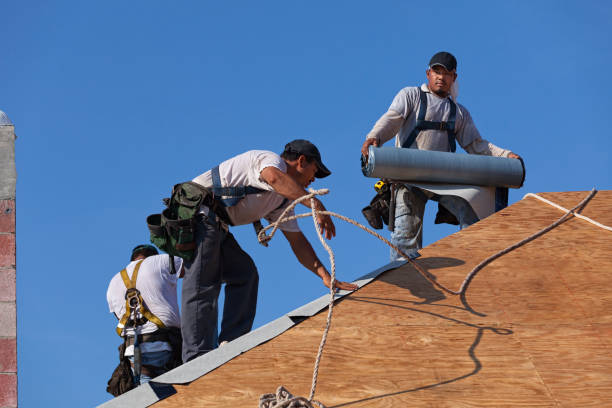 Best Gutter Installation and Roofing  in South Pittsburg, TN